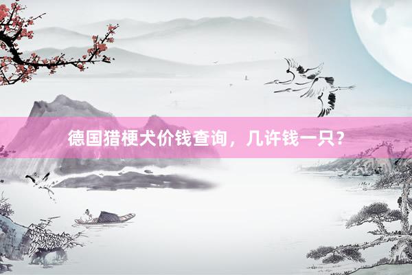 德国猎梗犬价钱查询,几许钱一只?